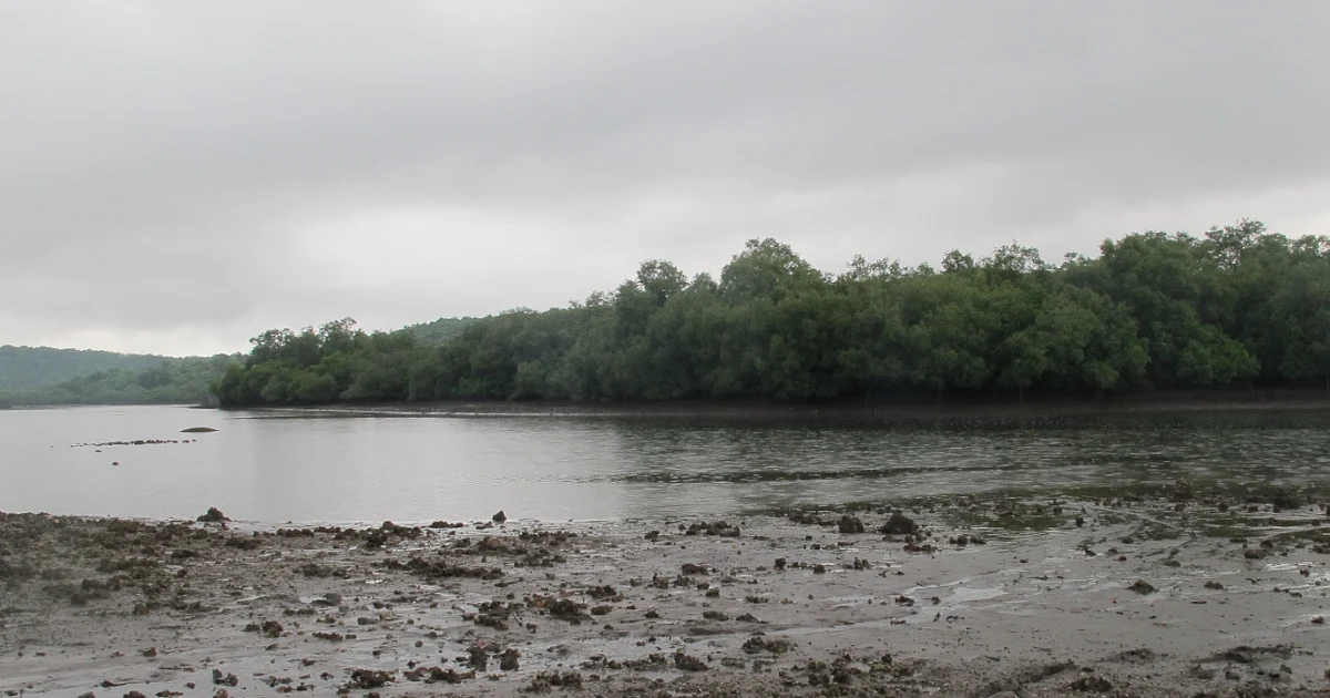 Ramsar CoP15: India’s Wetland Conservation Resolution Adopted in Zimbabwe