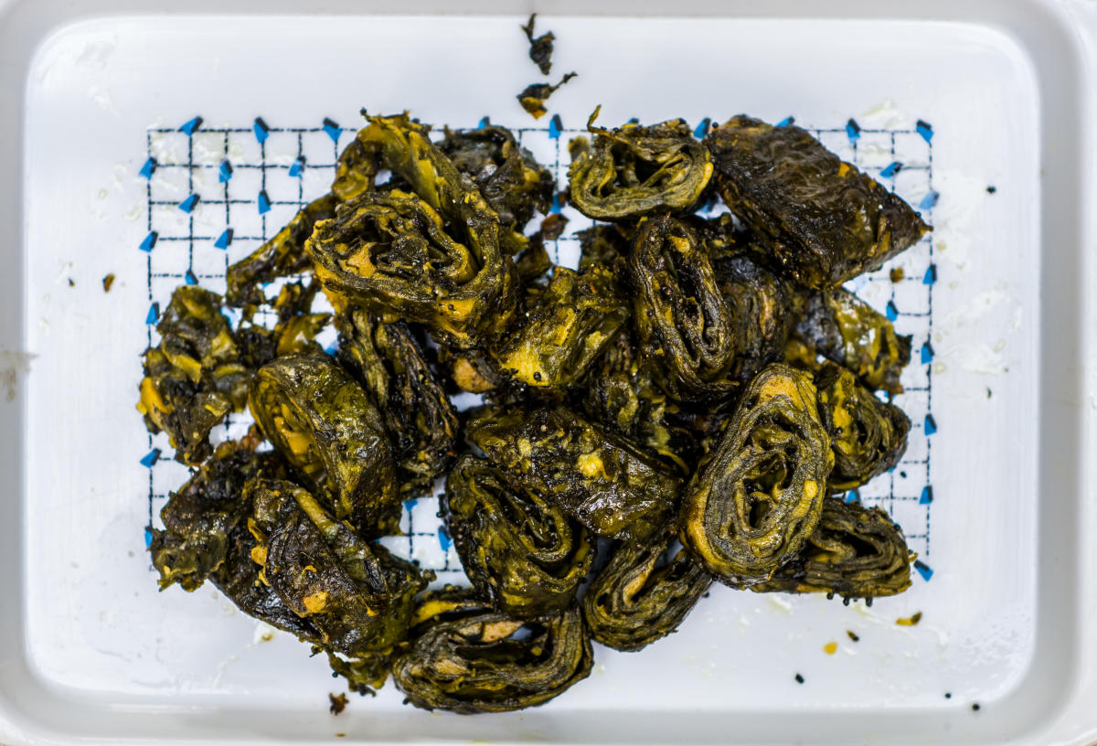 Patrode rules coastal cuisine