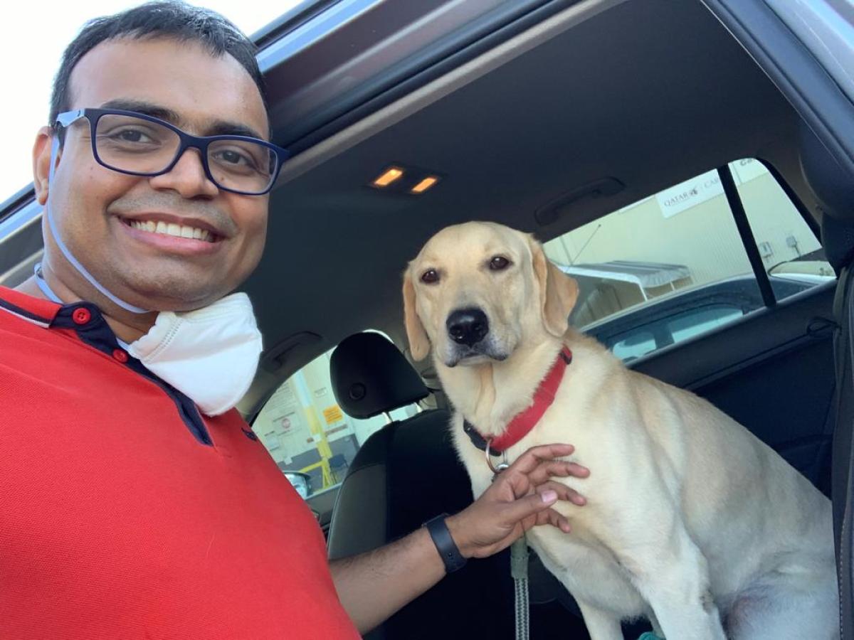Air travel preferred for pet relocation
