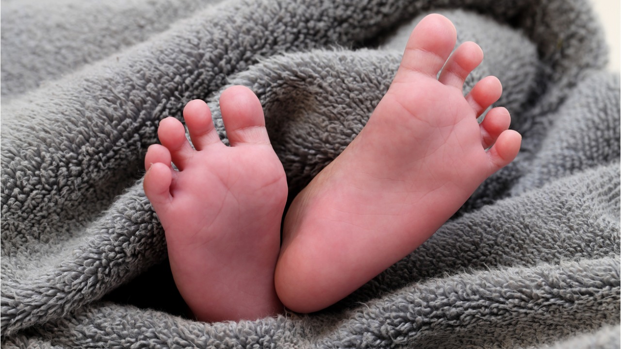Abandoned newborn about to be mauled by dogs rescued in HRBR Layout