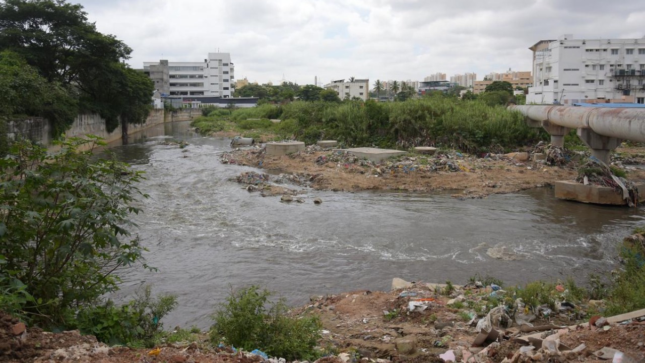 BWSSB submits action plan for Vrushabhavathi revival