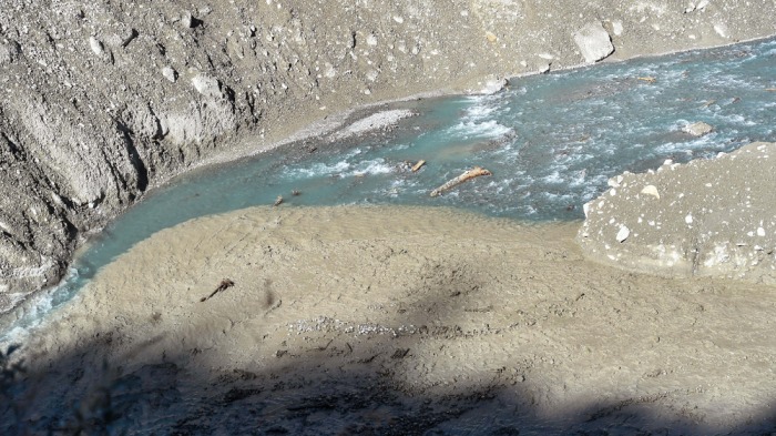 Exotic brown trout threatening native Himalayan fish species: Study