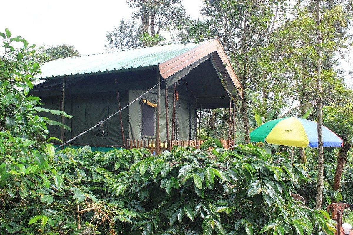 Tourists prefer tent stays and homestays in Kodagu