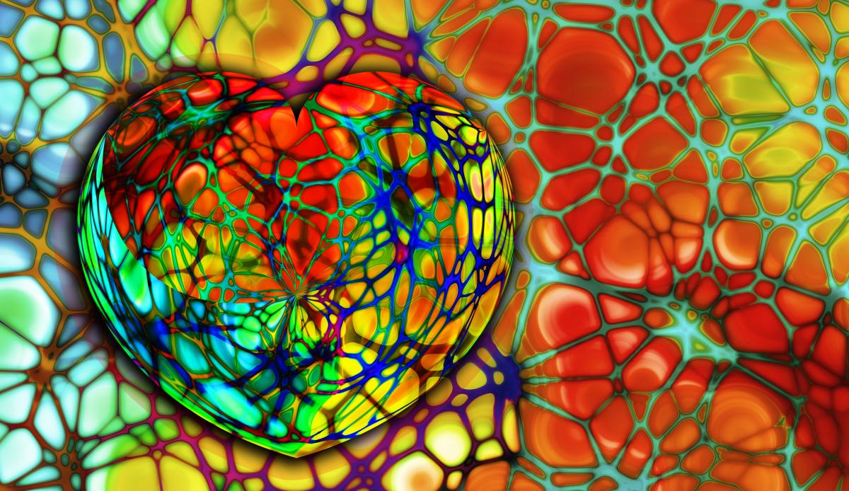 At the heart of cardiovascular diseases
