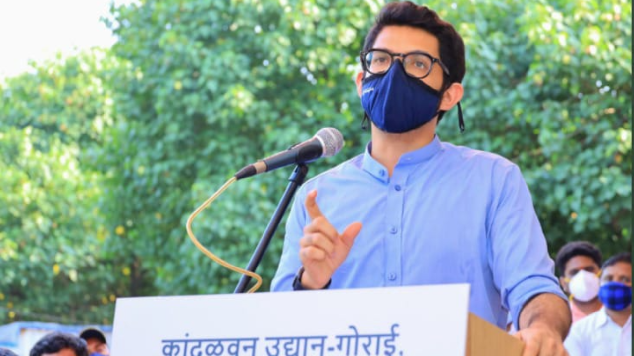 Mumbaikars will soon be able to visit Mangrove Park in Gorai