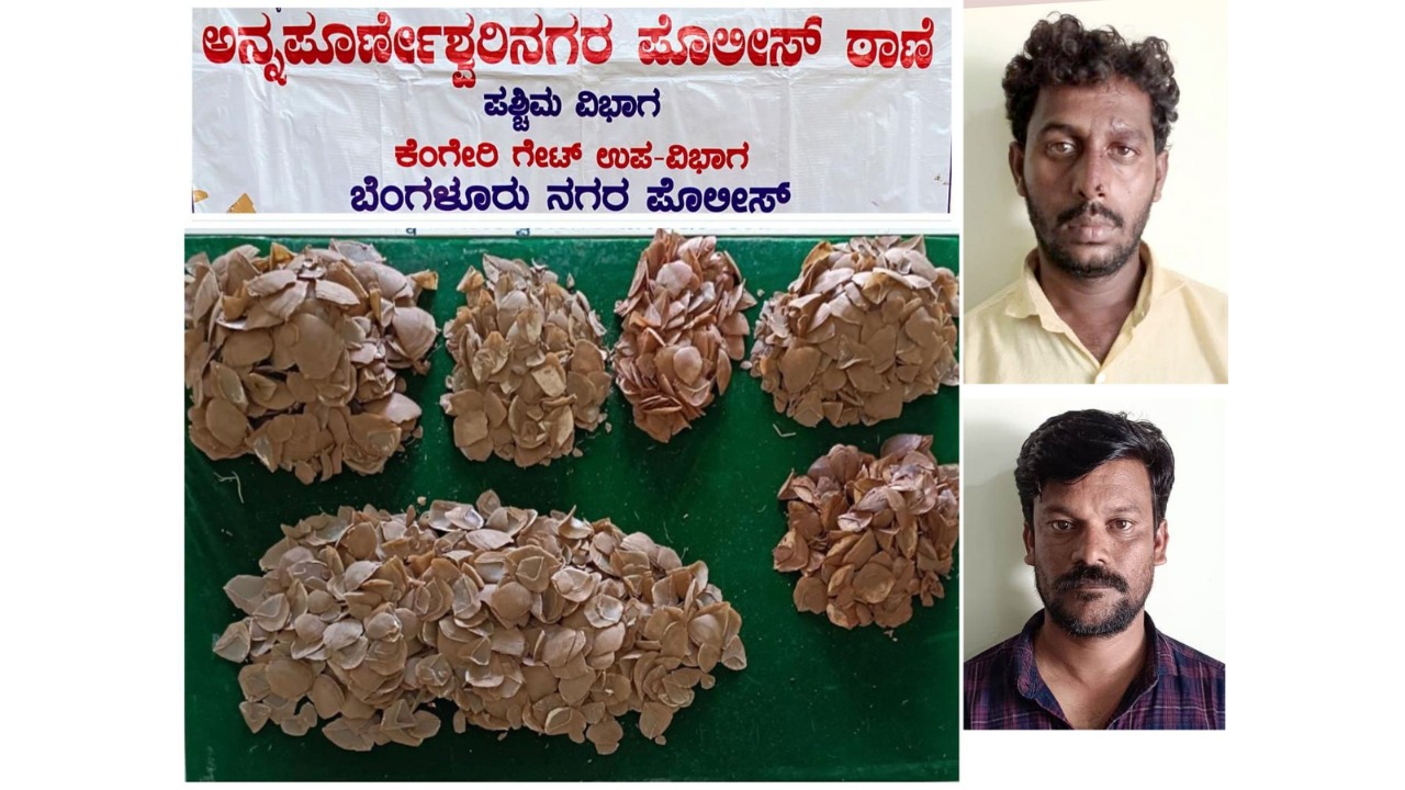 Pangolin eaters caught with bagful of scales