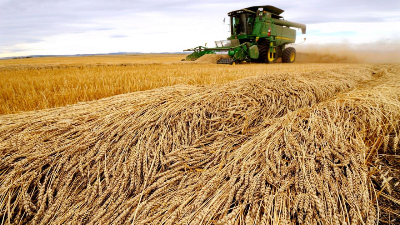Sure, make MSP law, but tie it to demand-supply