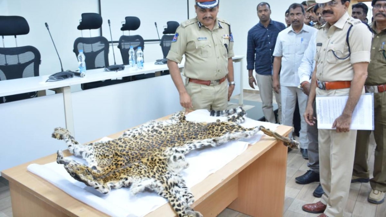 Shivamogga veterinary college in soup over Schedule 1 animal remains