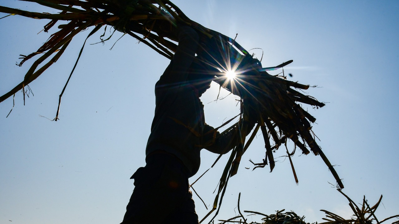 UP, Maharashtra farmers benefited most from PM Kisan scheme