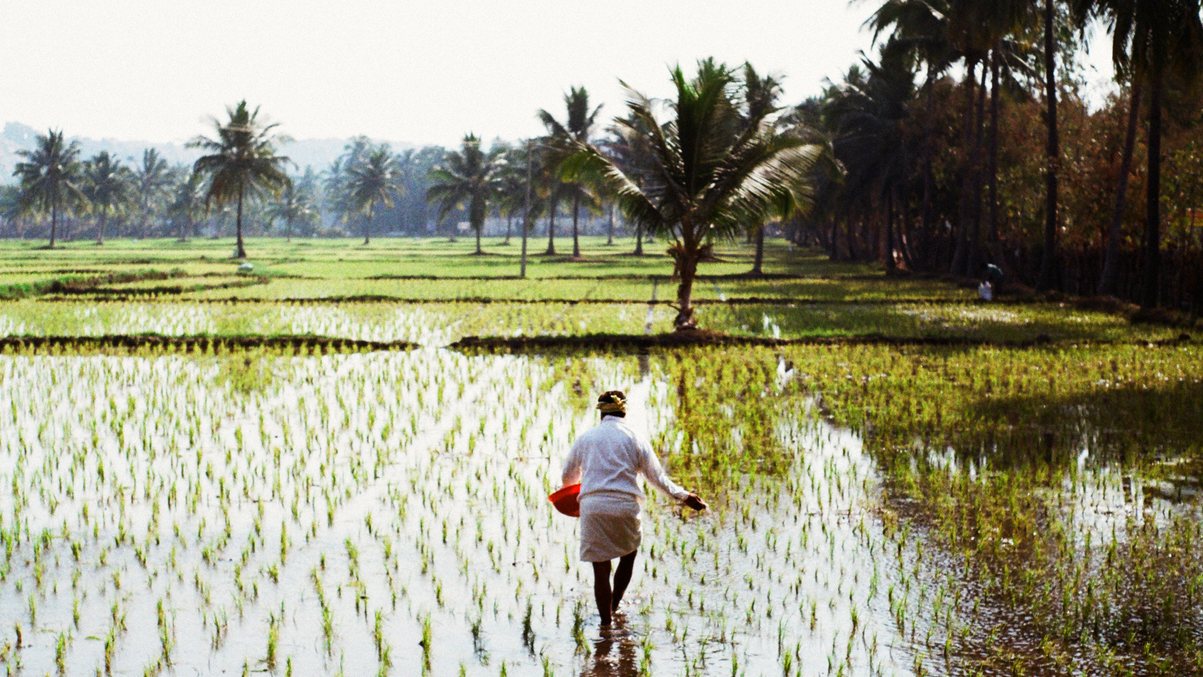 Does the Budget address concerns of rural India?
