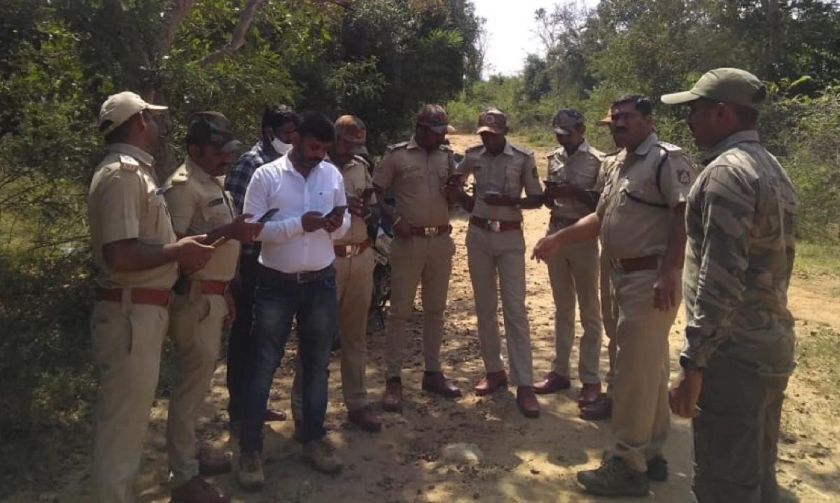 11-day tiger census at M M Hill wildlife division from today