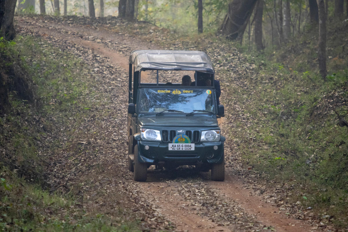 In search of ‘Kali’