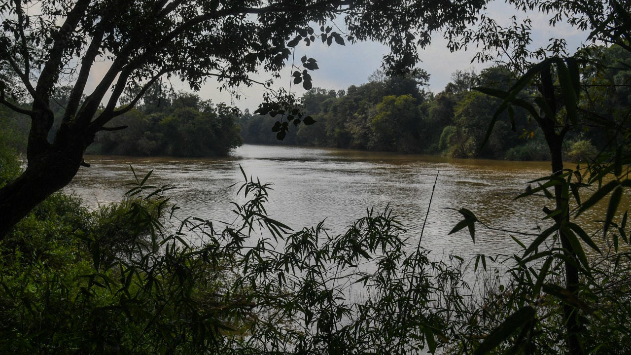 Cauvery, Krishna in Rs 19,000 crore river rejuvenation plan