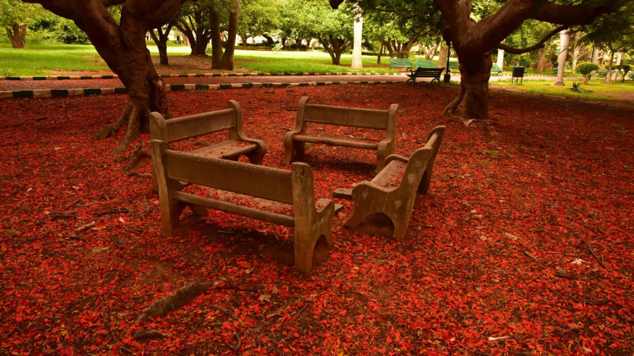 History of Bengaluru’s blooms