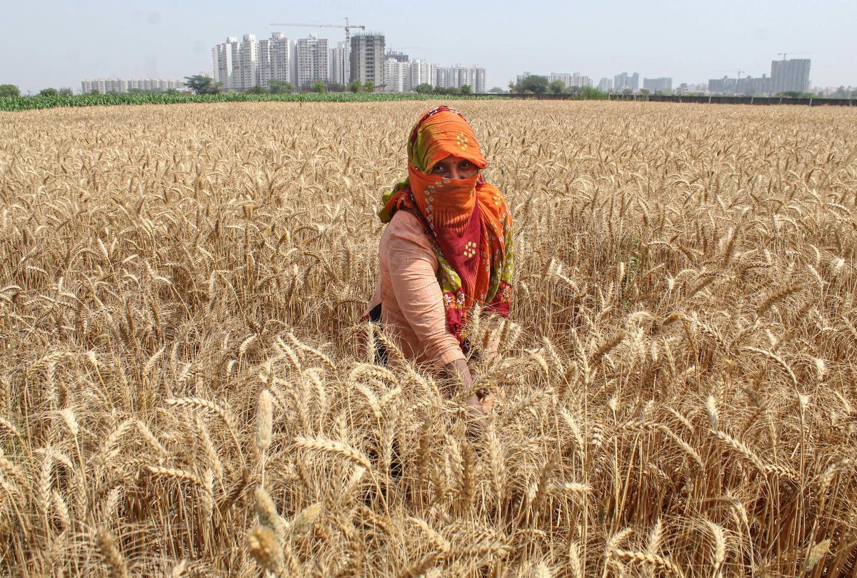 Climate Change: Time for adaptive measures