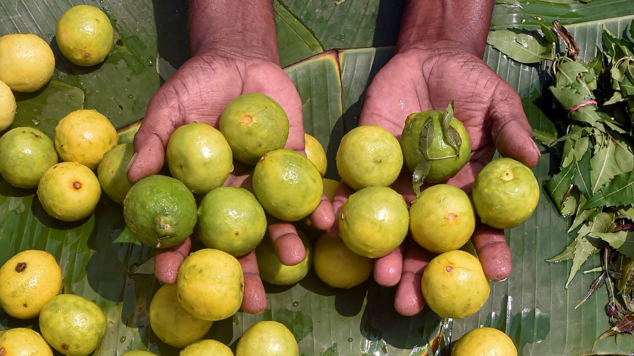 Lemon prices shoot up, lemonade out of reach