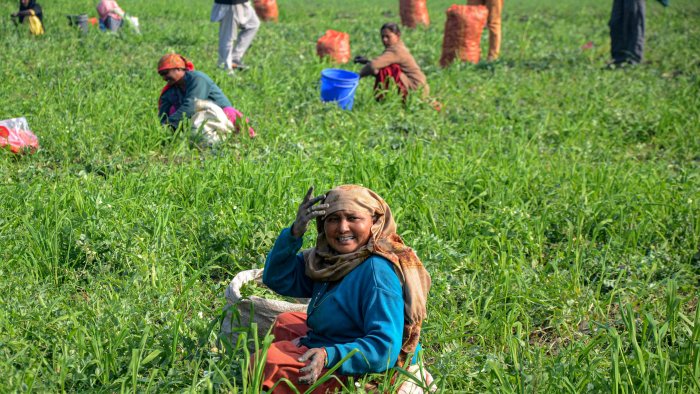 Arunachal minister urges people to take up farming to make state self-sufficient