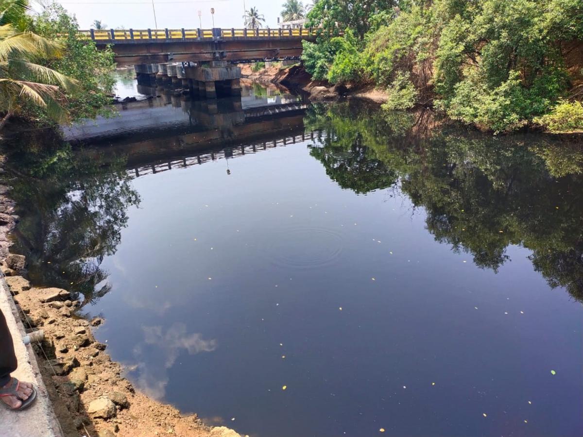 NGT sets up committee to recommend steps on mitigating pollution in river