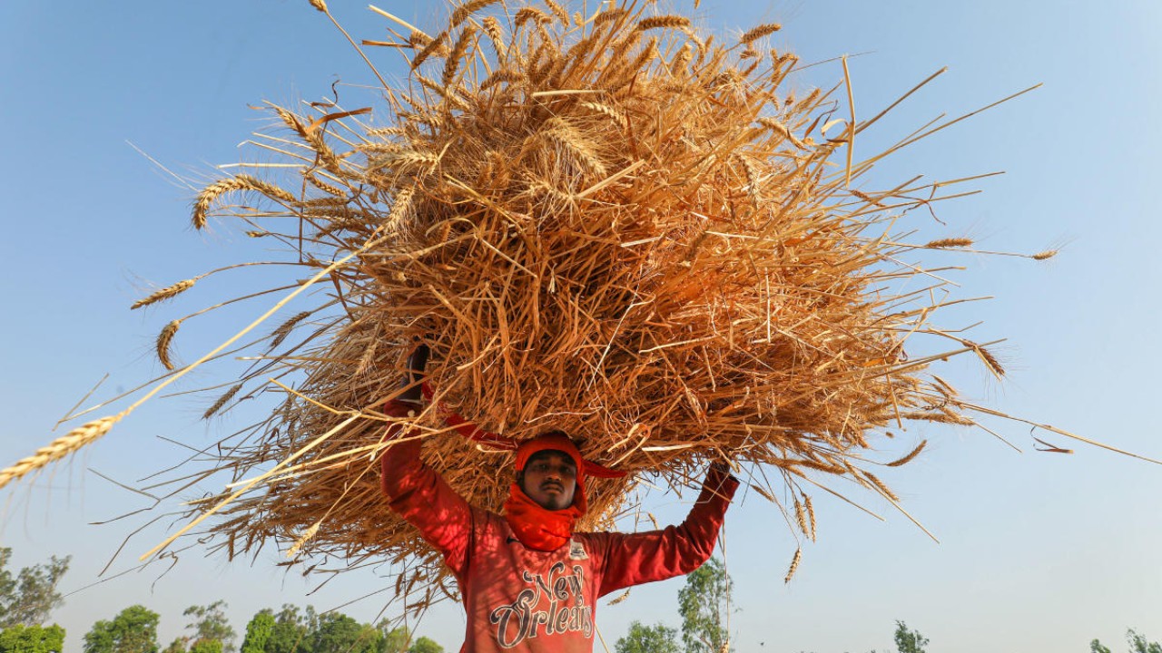 Environmentally subsidised, growing exports aren’t good news