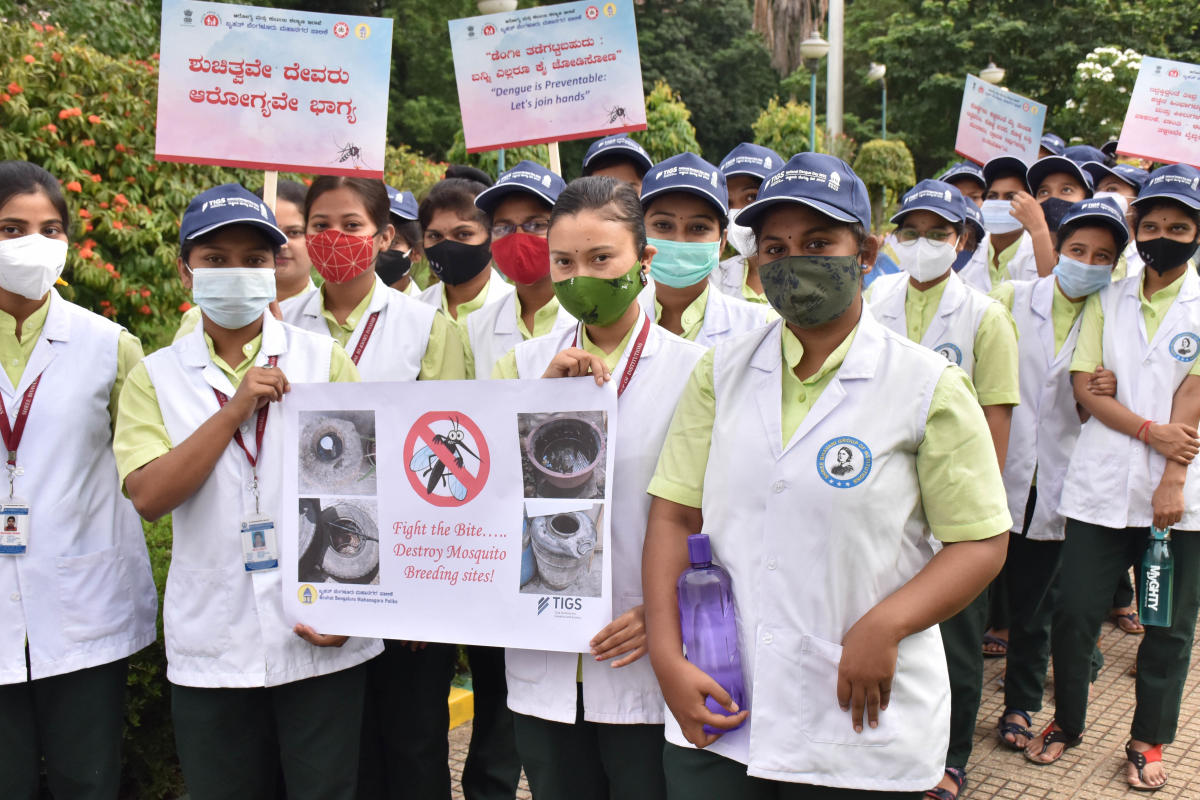331 dengue cases reported in Bengaluru; East Zone worst affected