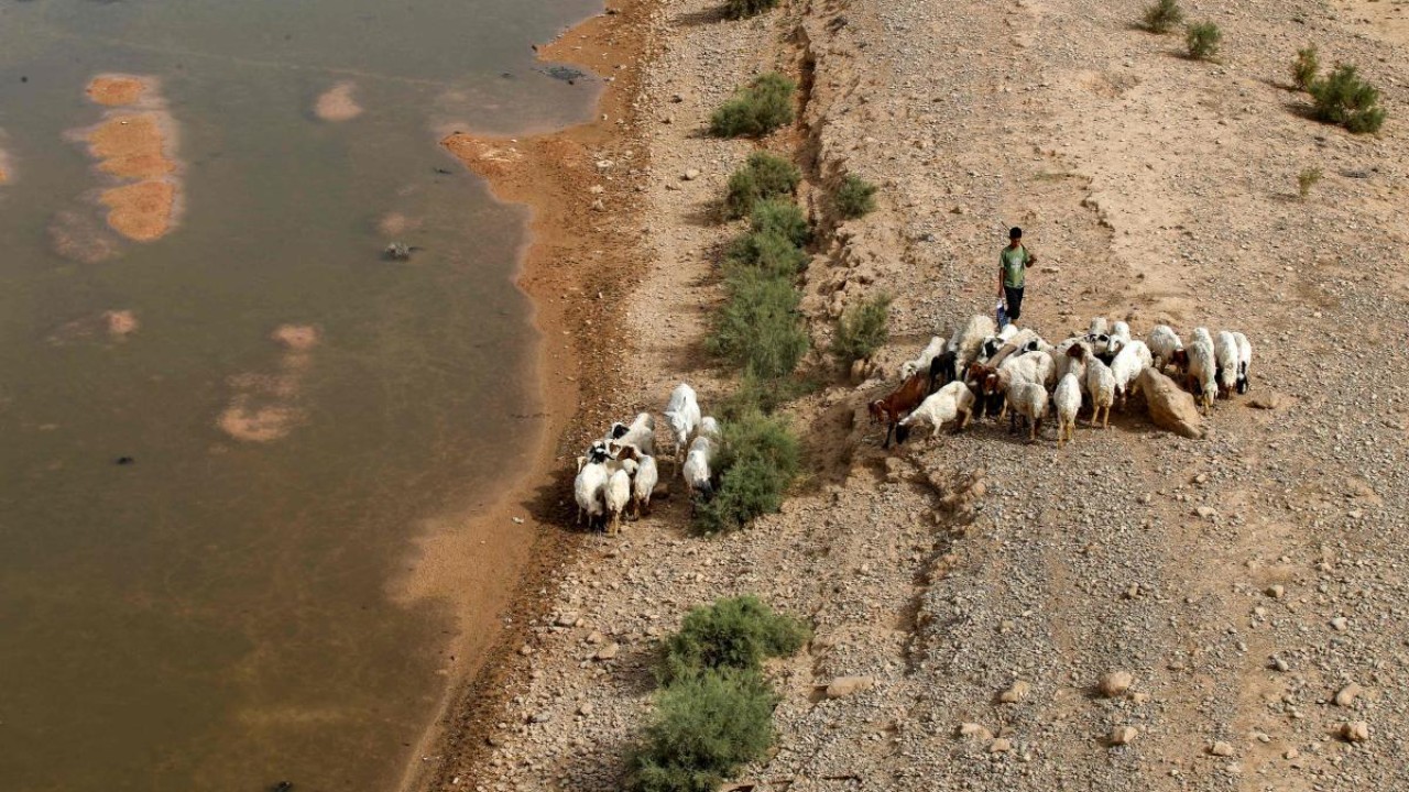 Key Iraq irrigation reservoir close to drying out