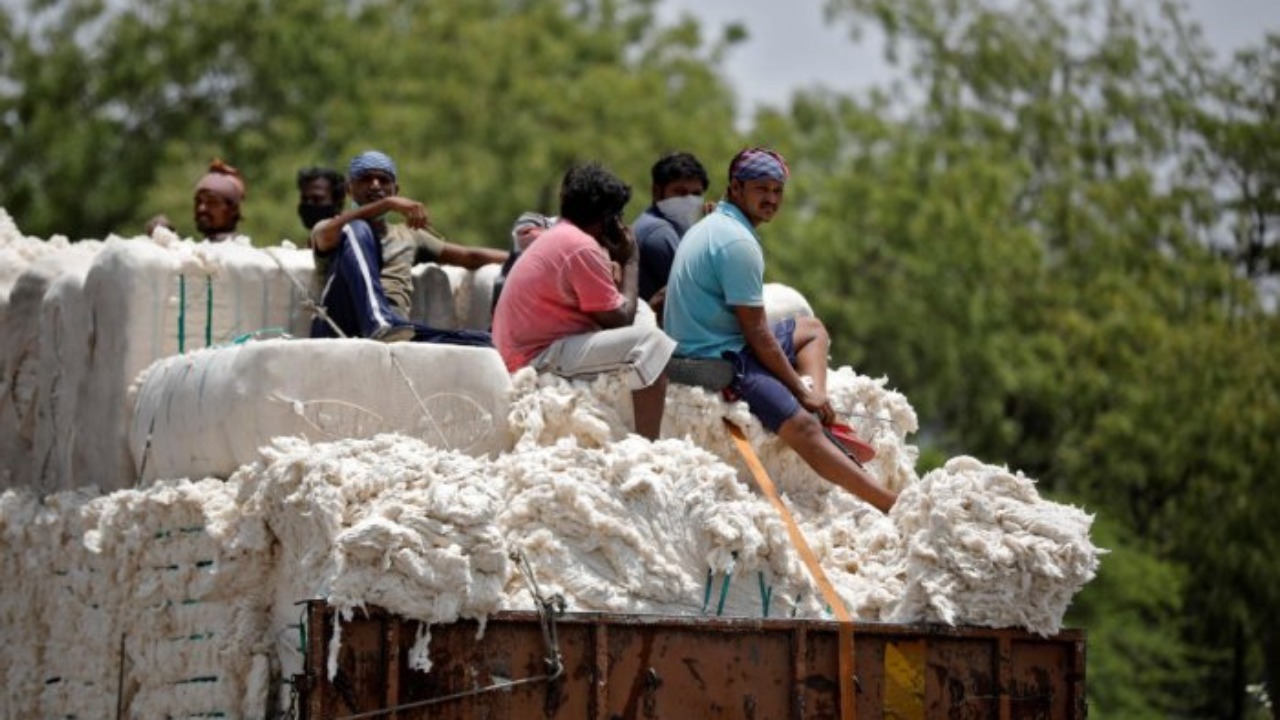 India's cotton exports likely to double to 28.50 lakh bales in 2023-24 season: CAI