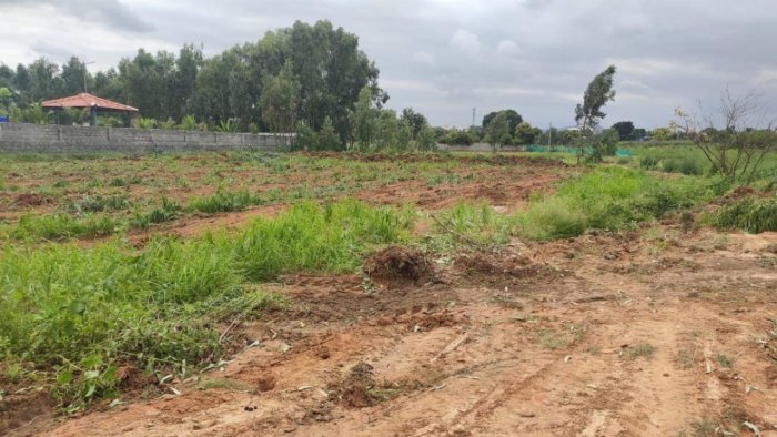 Using land as a political weapon