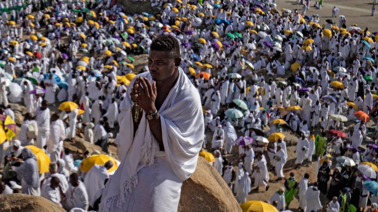 Muslim pilgrims pray at Mount Arafat as hajj reaches apex