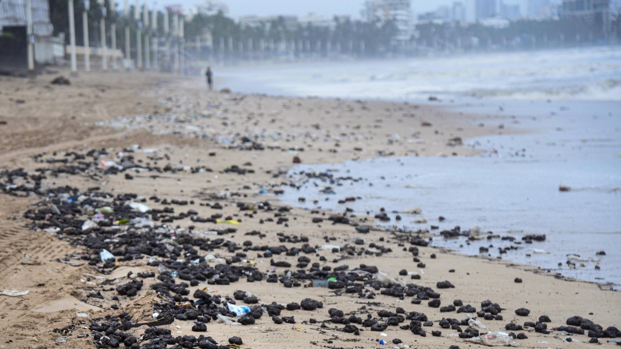 Environmentalists worried after Centre says erosion present in 34% of nation's coastline
