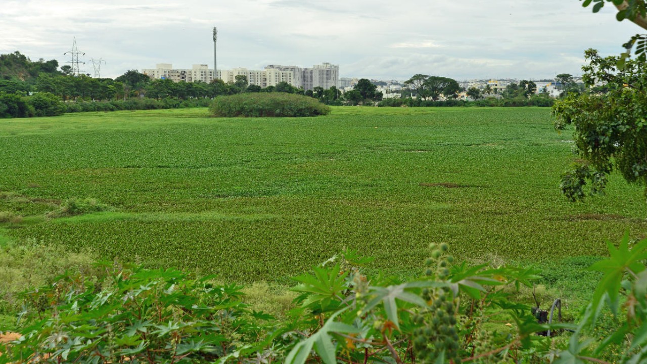Minister seeks Rs 50 crore to develop polluted Hosakerehalli Lake