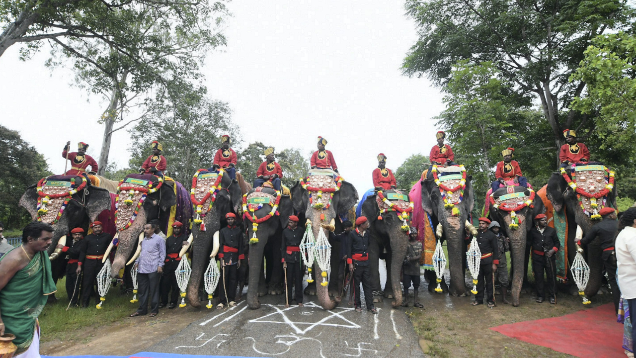 Dasara elephants enter Mysuru Palace