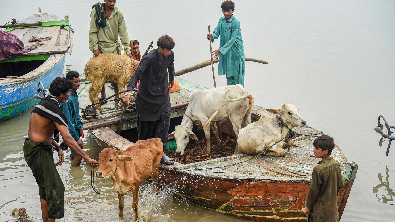 Flood-ravaged Pakistan to deploy Army to assist with rescue and relief work