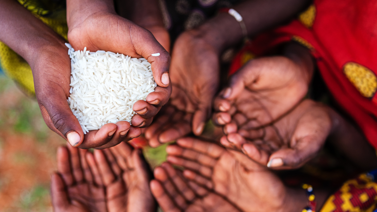 A new approach to reducing child malnutrition