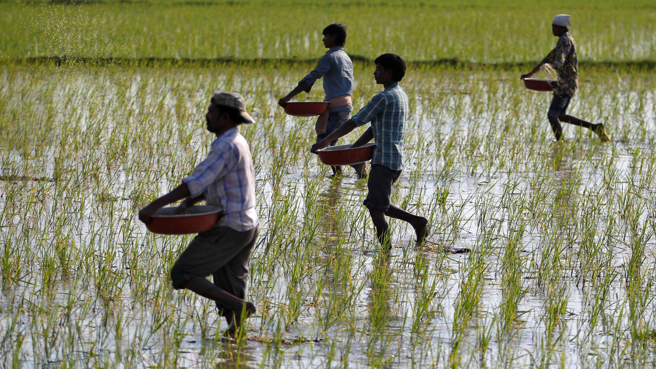 Fix the flaws in fertiliser taxation