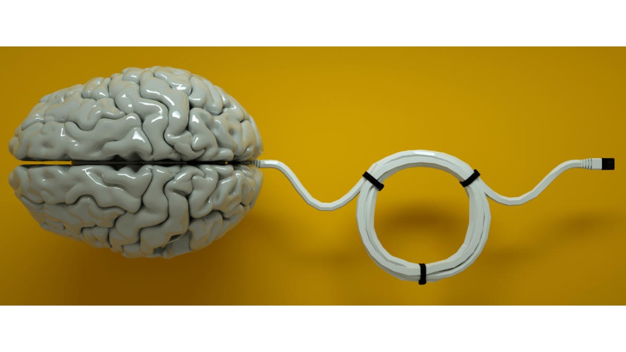 IISc develops algorithm to help detect, classify epilepsy