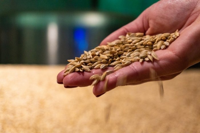 Food security for all: Time to think long-term