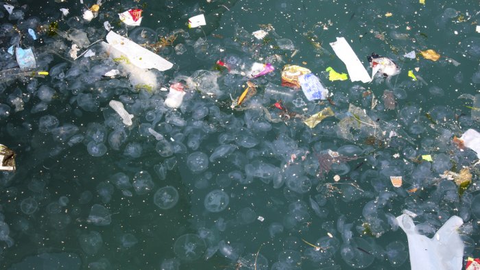 NGT asks Mangalore Corporation to keep check on water discharge