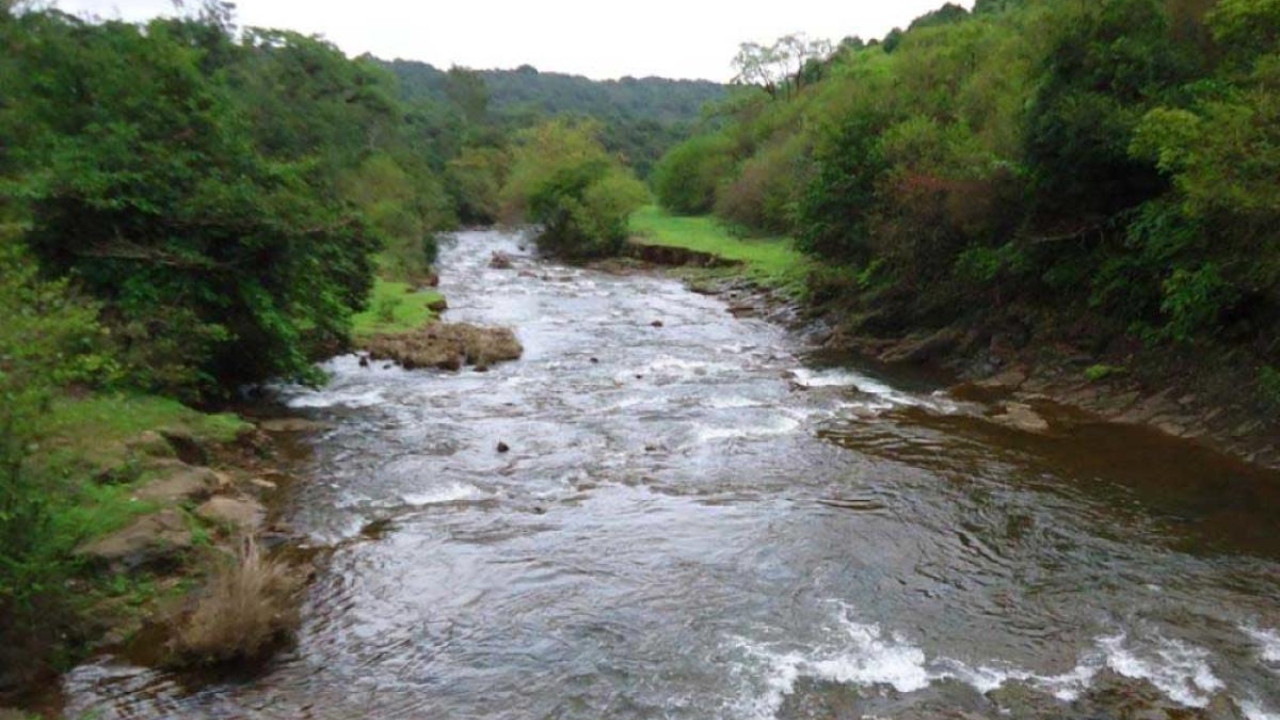 Mhadei river dispute: Karnataka's plans will get stuck, says Goa minister