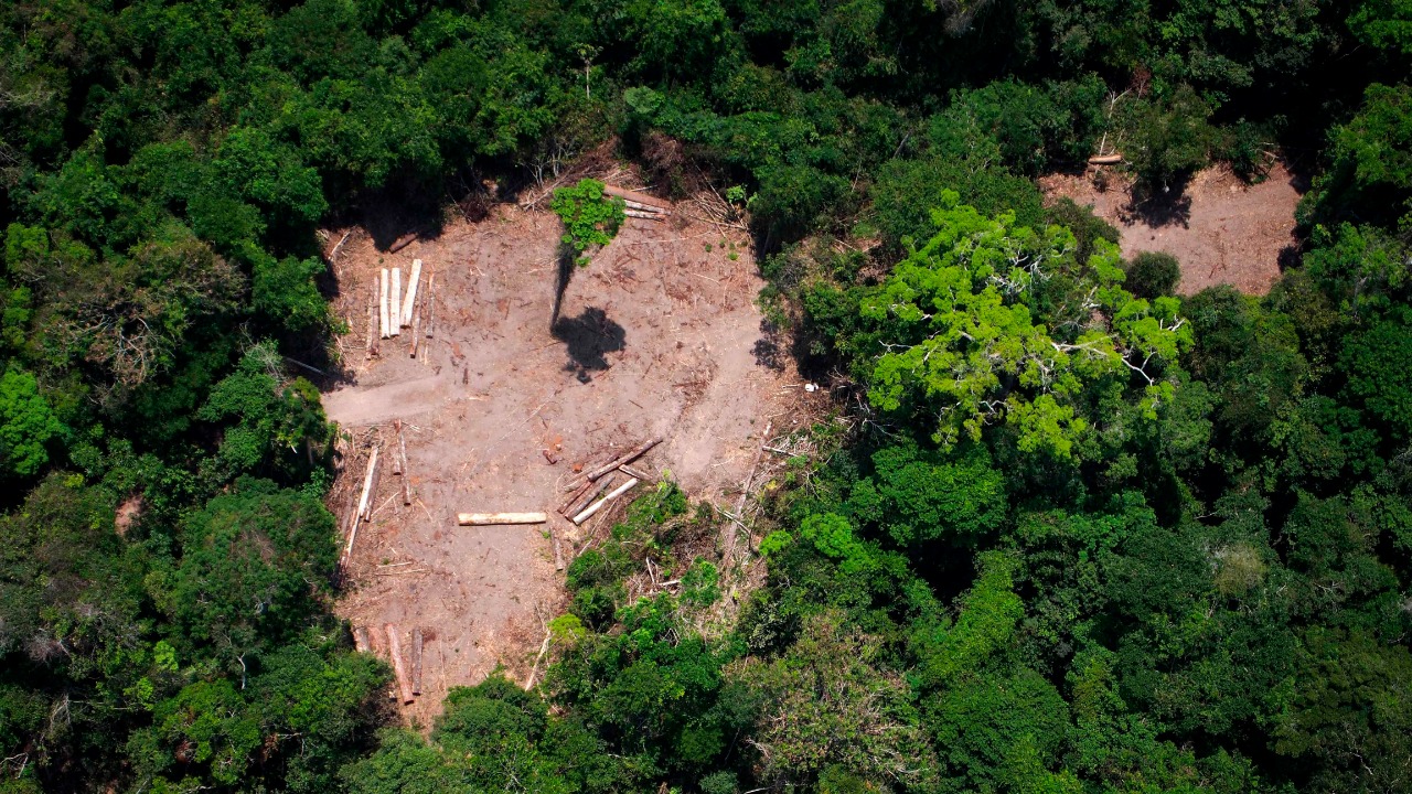 89k hectares of forest land diverted for development projects in last 5 years