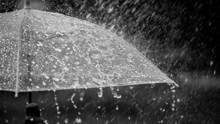 Unseasonal rains kill 3, affect 10,000 farmers in Maharashtra’s Nanded