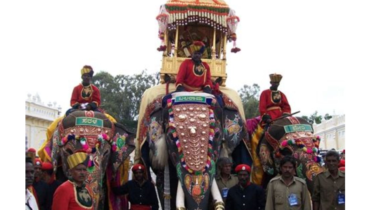 Mysuru: Dasara veteran tusker Balarama dies after suffering from ailment