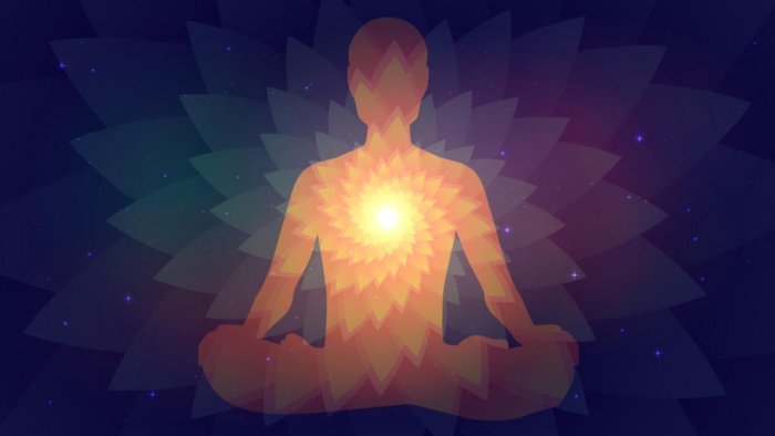VIMOVE to unveil documentary on conscious living