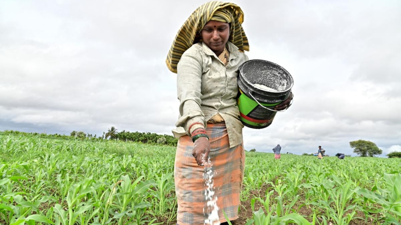 Farmers' income drying up