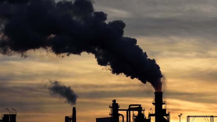 Reducing fossil fuel more beneficial than afforestation: IISc