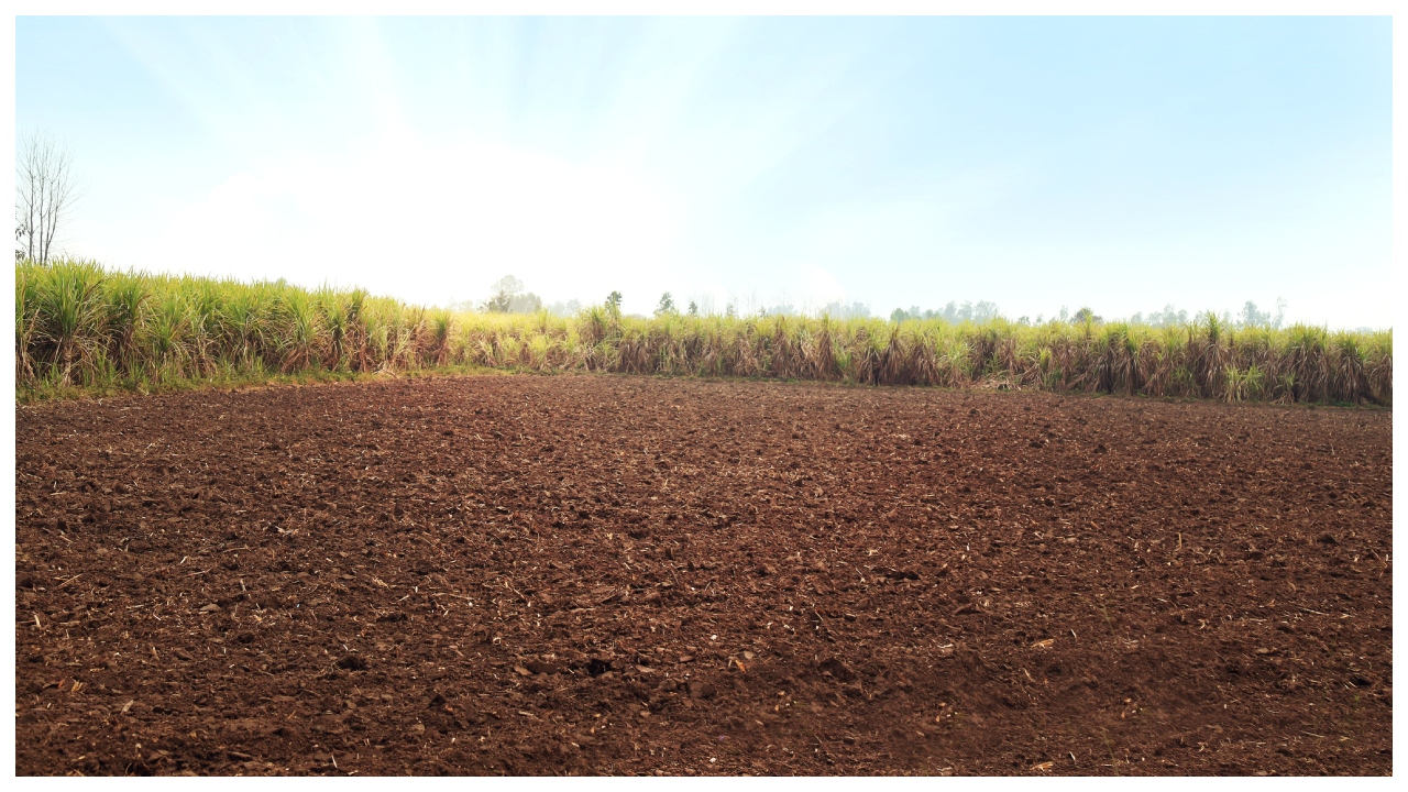 Ground beneath is heating up causing 'underground climate change': Study