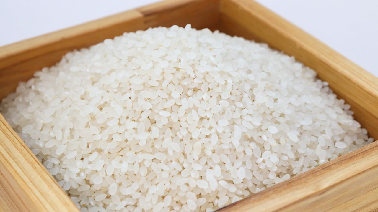 Govt bans exports of non-basmati white rice to boost domestic supply, help control price