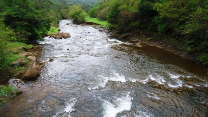 Mahadayi Water Disputes Tribunal gets one more year to submit report