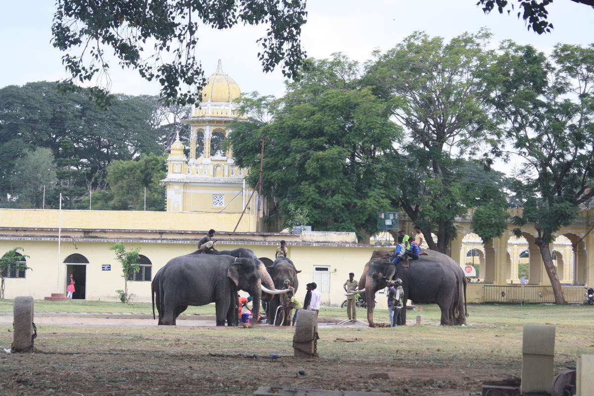Near the palace grounds