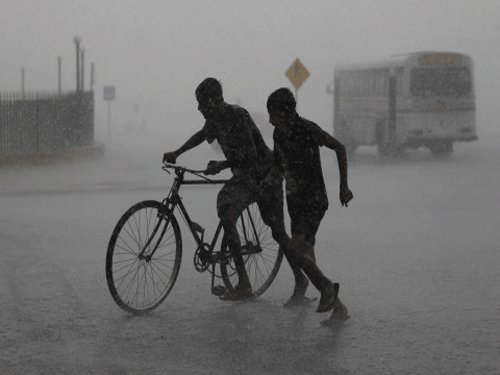 Two boys run with their bicycle during monsoon season rain in Colombo July 26, 2013. REUTERS