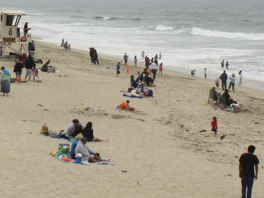 Gouri Satya has sent us a photo from Half Moon Bay, San Francisco, USA